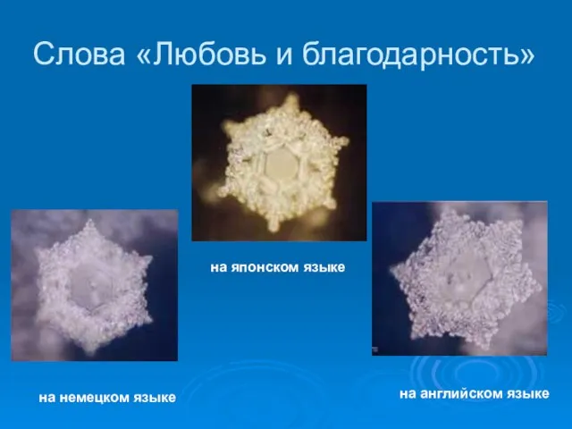 Слова «Любовь и благодарность» на немецком языке на английском языке на японском языке