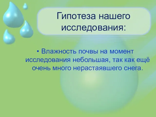 Гипотеза нашего исследования: Влажность почвы на момент исследования небольшая, так как ещё очень много нерастаявшего снега.