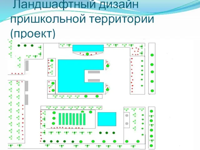 Ландшафтный дизайн пришкольной территории(проект)