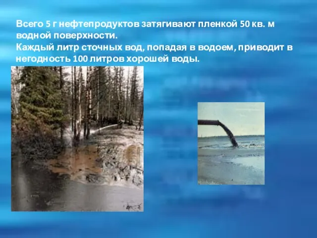 Всего 5 г нефтепродуктов затягивают пленкой 50 кв. м водной поверхности. Каждый