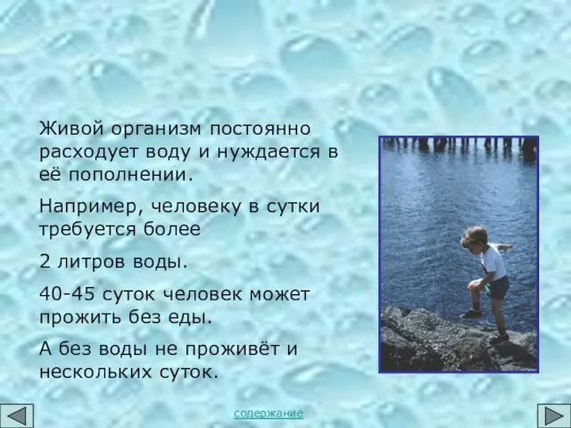 Живой организм постоянно расходует воду и нуждается в её пополнении. Например, человеку