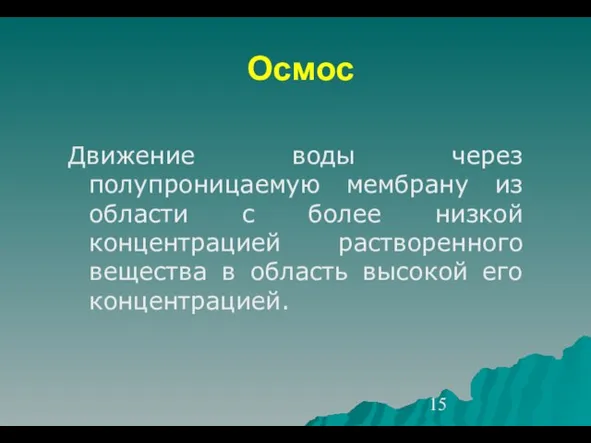 Осмос Движение воды через полупроницаемую мембрану из области с более низкой концентрацией