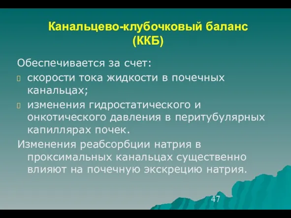 Канальцево-клубочковый баланс (ККБ) Обеспечивается за счет: скорости тока жидкости в почечных канальцах;