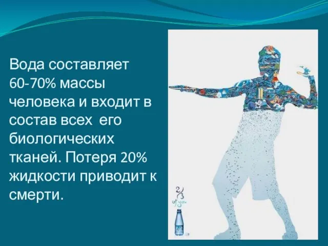 Вода составляет 60-70% массы человека и входит в состав всех его биологических