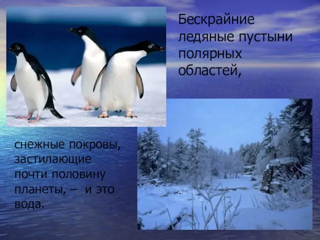 Бескрайние ледяные пустыни полярных областей, снежные покровы, застилающие почти половину планеты, – и это вода.