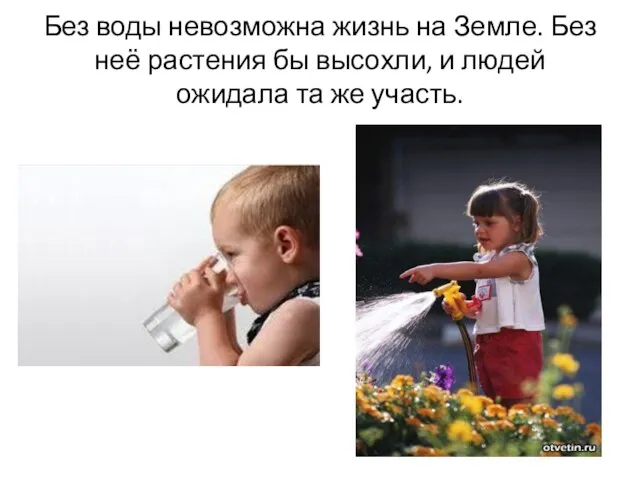 Без воды невозможна жизнь на Земле. Без неё растения бы высохли, и