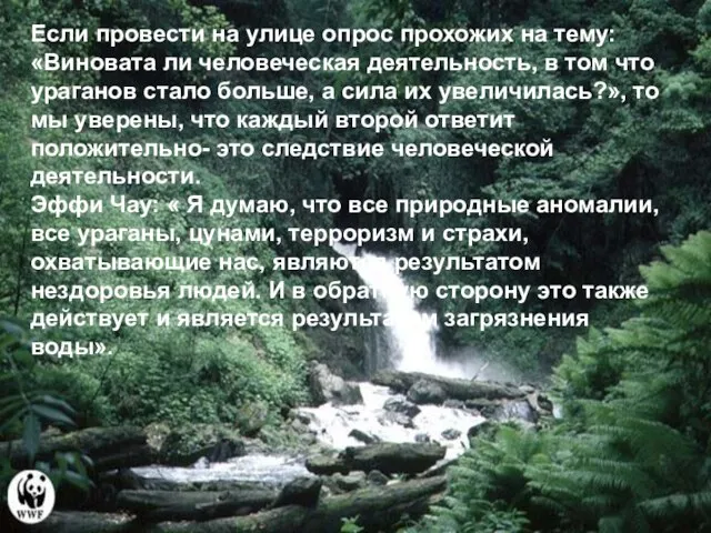 Если провести на улице опрос прохожих на тему: «Виновата ли человеческая деятельность,