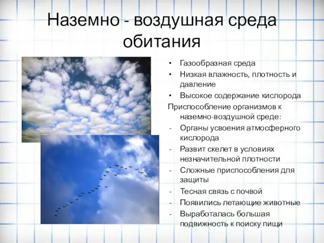 Наземно - воздушная среда обитания Газообразная среда Низкая влажность, плотность и давление