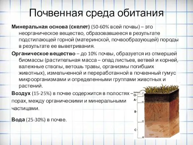 Почвенная среда обитания Минеральная основа (скелет) (50-60% всей почвы) – это неорганическое