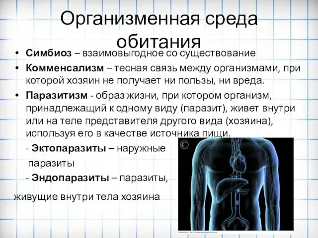 Организменная среда обитания Симбиоз – взаимовыгодное со существование Комменсализм – тесная связь