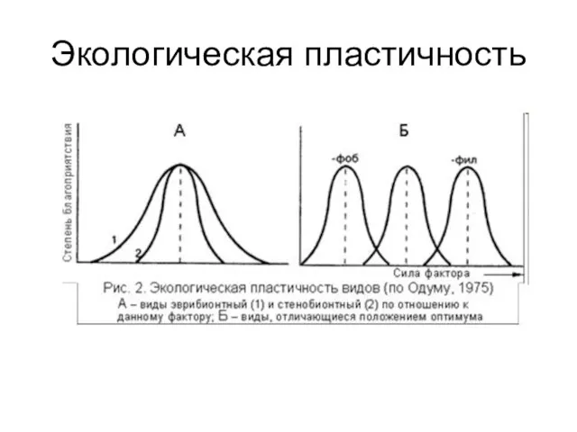 Экологическая пластичность