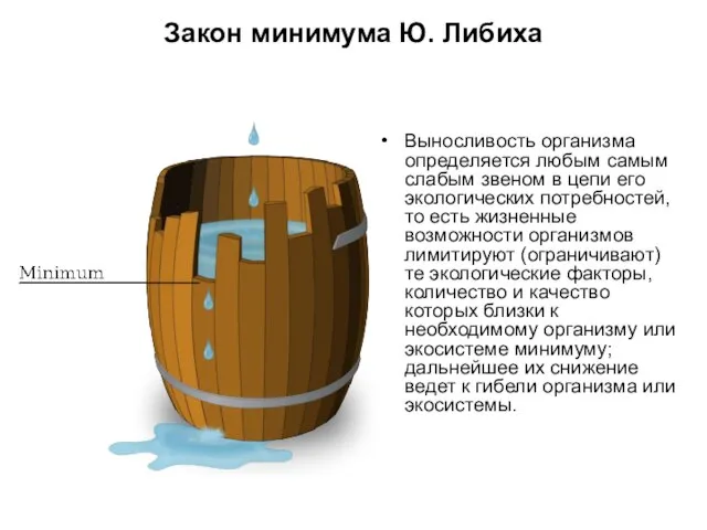 Закон минимума Ю. Либиха Выносливость организма определяется любым самым слабым звеном в