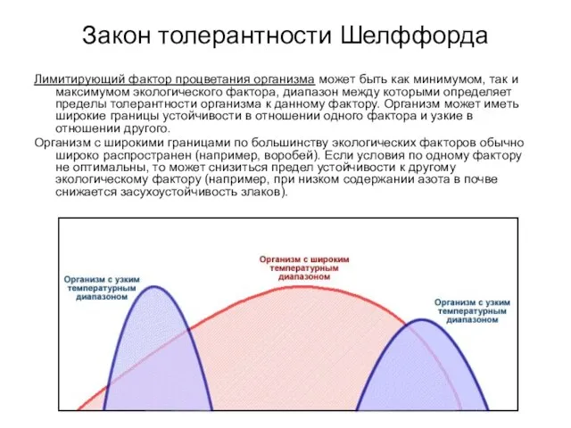 Закон толерантности Шелффорда Лимитирующий фактор процветания организма может быть как минимумом, так