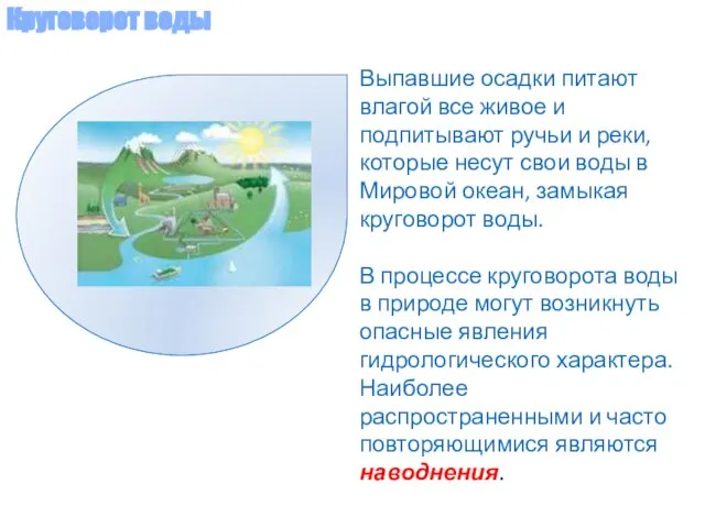 Выпавшие осадки питают влагой все живое и подпитывают ручьи и реки, которые