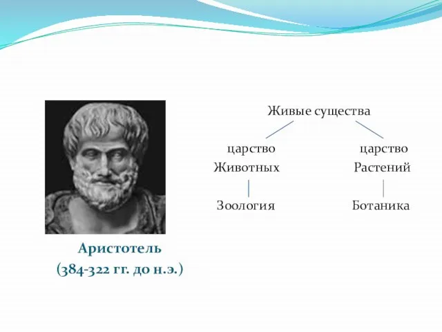 Аристотель (384-322 гг. до н.э.) Живые существа царство царство Животных Растений Зоология Ботаника