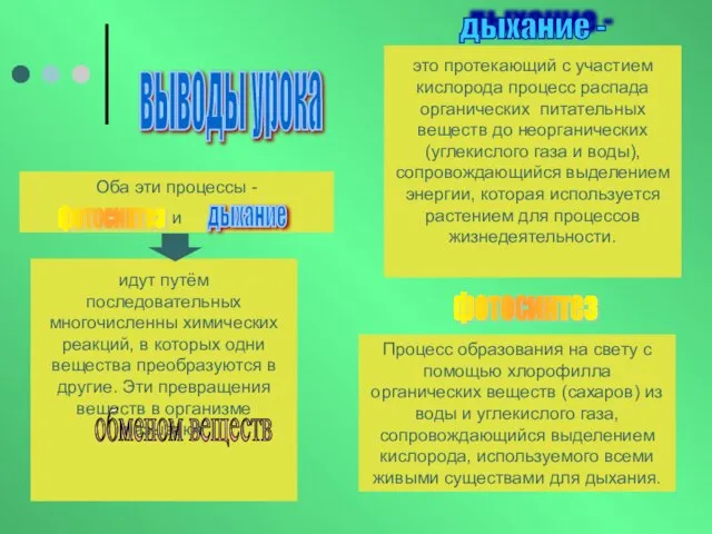 идут путём последовательных многочисленны химических реакций, в которых одни вещества преобразуются в