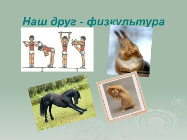 Наш друг - физкультура