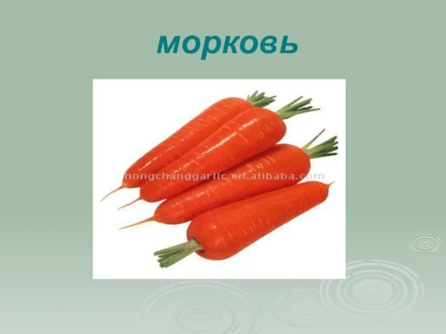 морковь