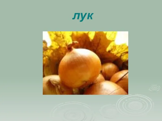 лук