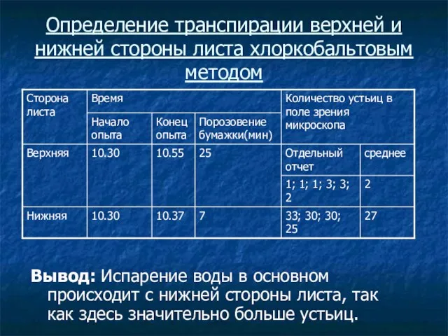 Определение транспирации верхней и нижней стороны листа хлоркобальтовым методом Вывод: Испарение воды