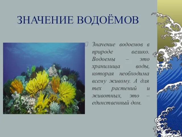 ЗНАЧЕНИЕ ВОДОЁМОВ Значение водоемов в природе велико. Водоемы – это хранилища воды,