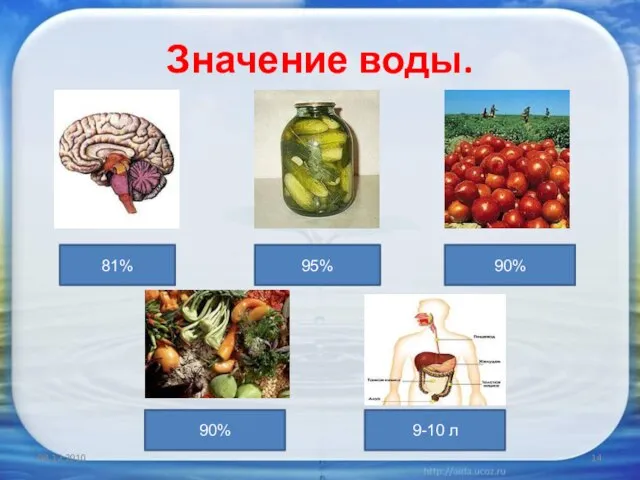 Значение воды. 08.12.2010 81% 95% 90% 90% 9-10 л