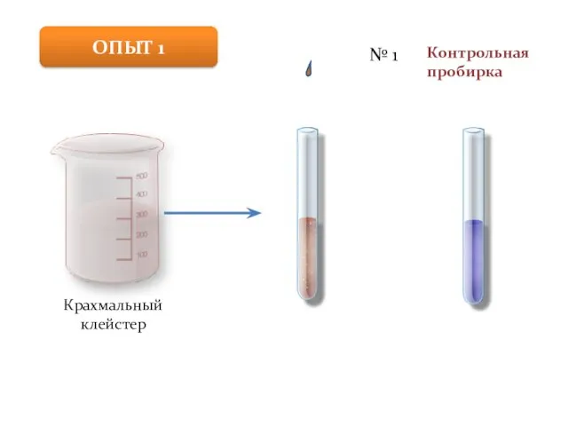 Крахмальный клейстер № 1 Контрольная пробирка ОПЫТ 1