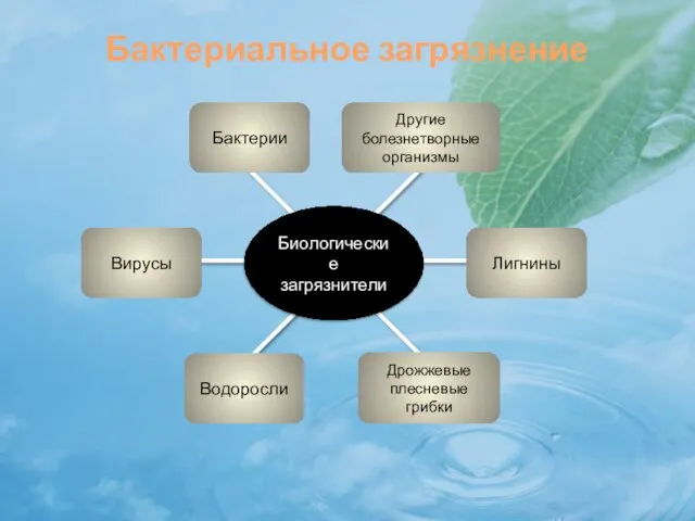 Бактериальное загрязнение Биологические загрязнители Другие болезнетворные организмы Лигнины Водоросли Дрожжевые плесневые грибки Бактерии Вирусы