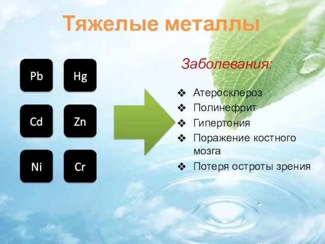 Тяжелые металлы Заболевания: Атеросклероз Полинефрит Гипертония Поражение костного мозга Потеря остроты зрения