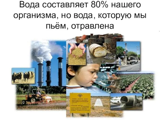 Вода составляет 80% нашего организма, но вода, которую мы пьём, отравлена