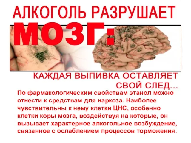 По фармакологическим свойствам этанол можно отнести к средствам для наркоза. Наиболее чувствительны