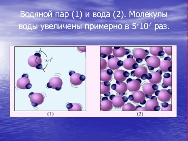 Водяной пар (1) и вода (2). Молекулы воды увеличены примерно в 5·107 раз.