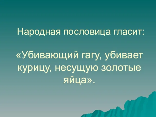 Народная пословица гласит: «Убивающий гагу, убивает курицу, несущую золотые яйца».