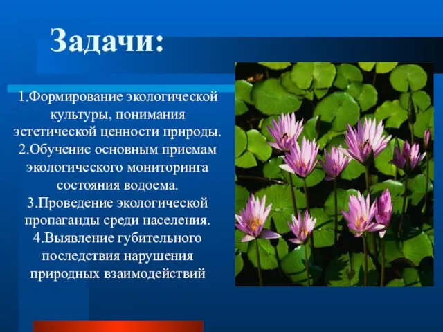 1.Формирование экологической культуры, понимания эстетической ценности природы. 2.Обучение основным приемам экологического мониторинга