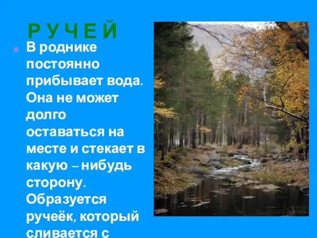 Р У Ч Е Й В роднике постоянно прибывает вода. Она не