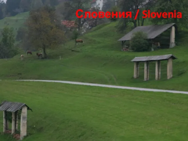 Словения / Slovenia