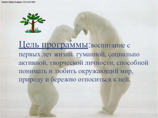 Цель программы:воспитание с первых лет жизни гуманной, социально активной, творческой личности, способной