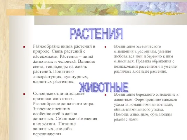 Разнообразие видов растений в природе. Связь растений с насекомыми. Растения – пища