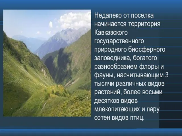 Недалеко от поселка начинается территория Кавказского государственного природного биосферного заповедника, богатого разнообразием