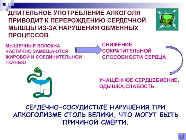 ДЛИТЕЛЬНОЕ УПОТРЕБЛЕНИЕ АЛКОГОЛЯ ПРИВОДИТ К ПЕРЕРОЖДЕНИЮ СЕРДЕЧНОЙ МЫШЦЫ ИЗ-ЗА НАРУШЕНИЯ ОБМЕННЫХ ПРОЦЕССОВ.