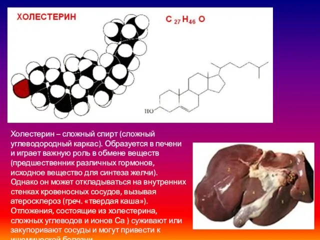 Холестерин – сложный спирт (сложный углеводородный каркас). Образуется в печени и играет