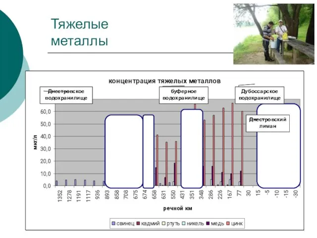 Тяжелые металлы