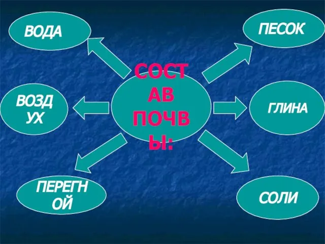 СОСТАВ ПОЧВЫ: ВОДА ПЕРЕГНОЙ СОЛИ ГЛИНА ПЕСОК ВОЗДУХ