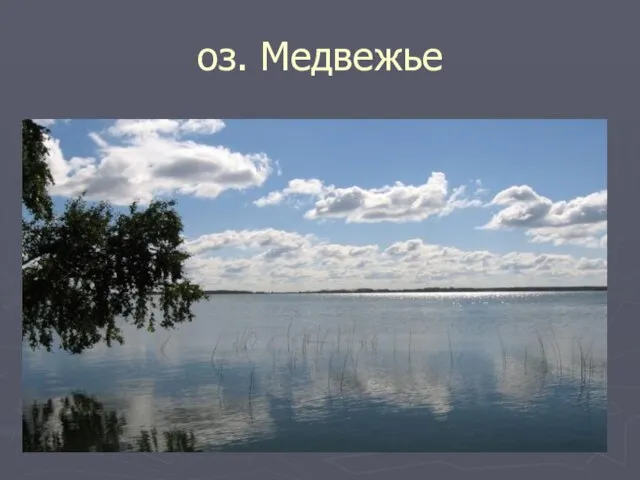 оз. Медвежье