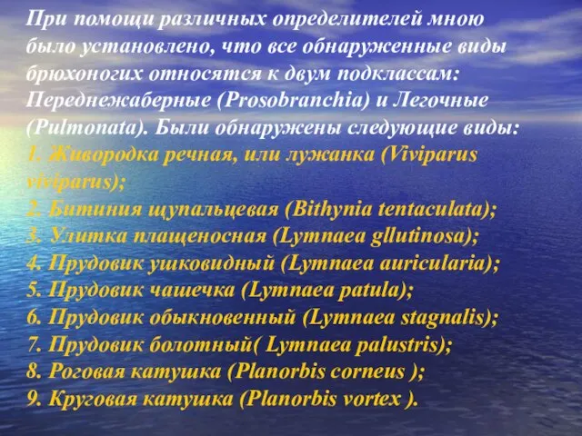 При помощи различных определителей мною было установлено, что все обнаруженные виды брюхоногих