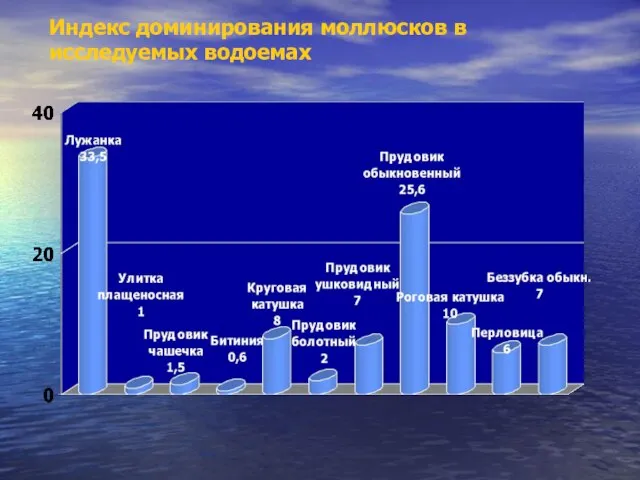 Индекс доминирования моллюсков в исследуемых водоемах