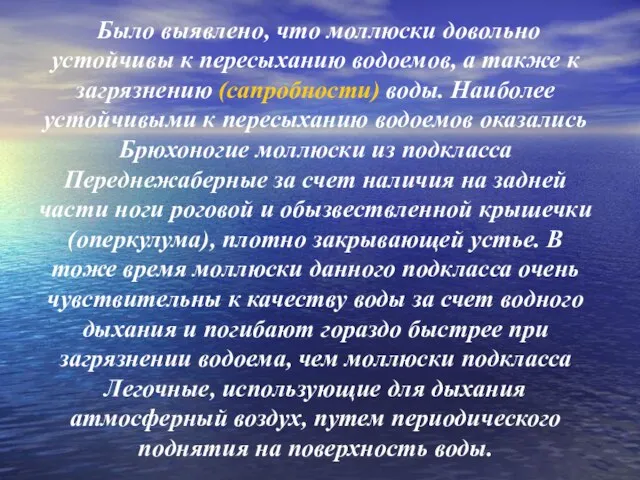 Было выявлено, что моллюски довольно устойчивы к пересыханию водоемов, а также к