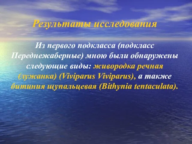 Результаты исследования Из первого подкласса (подкласс Переднежаберные) мною были обнаружены следующие виды: