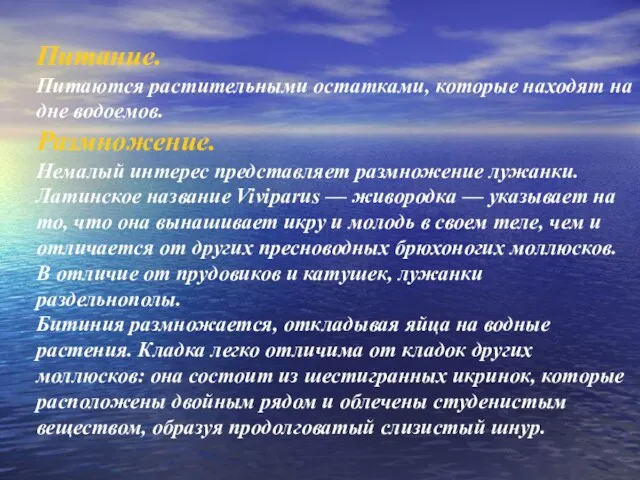 Питание. Питаются растительными остатками, которые находят на дне водоемов. Размножение. Немалый интерес