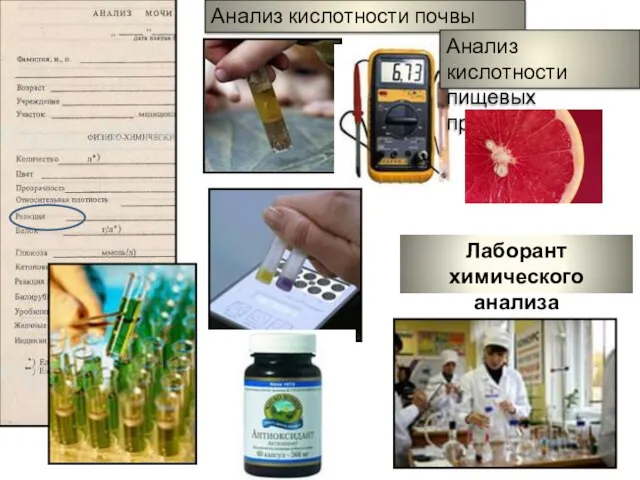 Анализ кислотности почвы Анализ кислотности пищевых продуктов Лаборант химического анализа